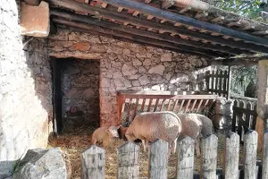 Tour image of Fatima Day Tour from Algarve
