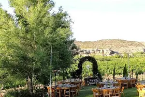 Tour image of Vineyard Wine Tasting Tour