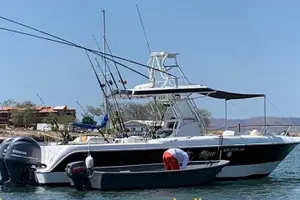 Tour image of Half-full Day Sport Fishing Tour from Flamingo Beach