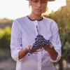 Image of Culinary Tours