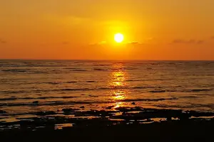 Tour image of Drake Bay Night Walk with Certified Guide
