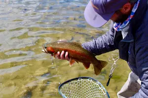 Tour image of Yellowstone Full Day Wade Fishing Trip