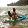Image of Stand Up Paddleboarding