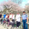 Image of Mountain Bike Tours