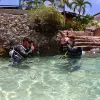 Image of Scuba Diving