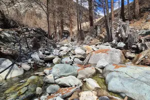 Tour image of Guided Hiking Half Day in Zermatt