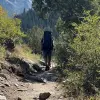 Image of Mountain Bike Tours