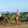 Image of Horseback Riding