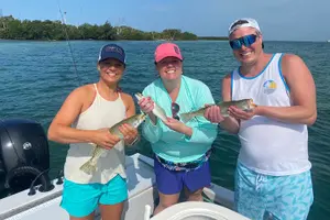 Tour image of Half day fishing Charter in St. Petersburg Florida