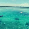 Image of Nature and Wildlife Tours