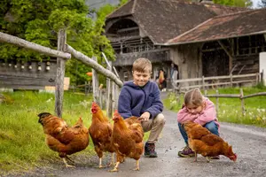 Tour image of Experience Switzerland in the Ballenberg open-air museum