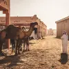 Image of Weddings & Celebrations