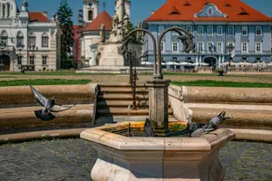Tour image of Timişoara: Private Walking Tour with Local Guide