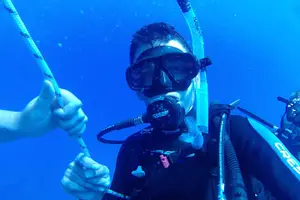 Tour image of Scuba Diving Cyprus Experience Protaras and Ayia Napa & Turtles