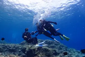 Tour image of Blue Cave Introductory Dive–Private Guide, Boat Tour&Free Photos