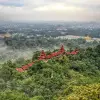 Image of Nature and Wildlife Tours