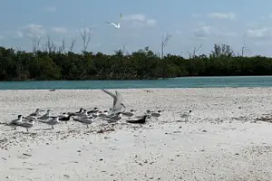 Tour image of Naples Private Boat with All Beach Amenities and Captain