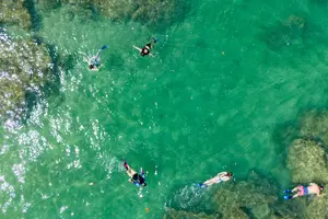 Tour image of Hanalei River Paddle and Bay Snorkel Tours (LUNCH INCLUDED)