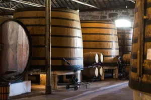 Tour image of Porto Wine & Dine: Port Wine Cave Food Tour with Eating Europe