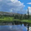 Image of Bird Watching