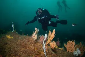Tour image of Double Dive the Fantastic Ocean Revival Park