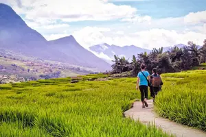 Image of Vietnam