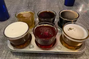 Tour image of Private San Diego Beer Tasting Tour