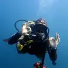 Image of Freediving