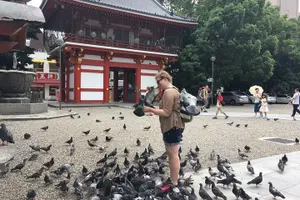 Tour image of Walking Small-Group Nagoya City Tour