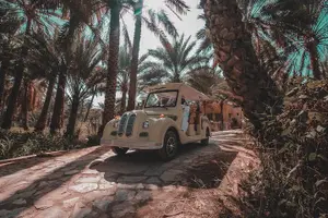 Tour image of Classic Cart Tour through Alhamra Old Village