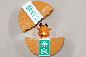 Tour image of Nara Heritage Temple Tour with Kamameshi and Matcha Audio Guide