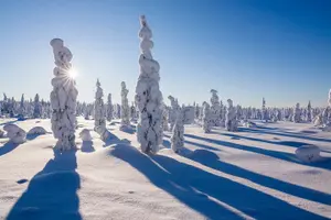 Tour image of Snowmobile Safari on the Tundra
