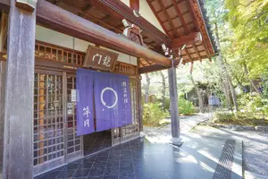 Tour image of Kyoto Arashiyama Bamboo forest & Garden Half-Day Walking Tour