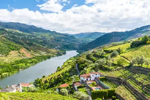 Tour image of Classic Douro Valley Guided Tour with 1-Hour Pinhão Cruise, Traditional Lunch & Tastings