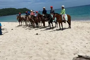 Tour image of Horseback Riding tours in Brasilito