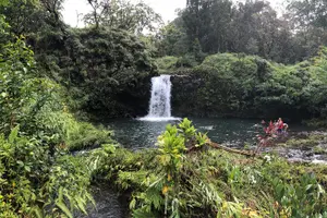 Tour image of Maui Exclusive - Road to Hana Adventure - Just for Your Group