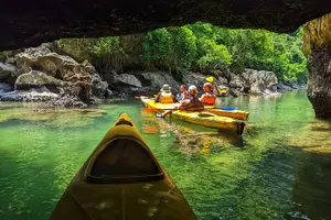 Tour image of What a great combination, day cruise and night kayak with glowing biolumenescent