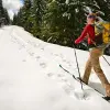 Image of Skiing