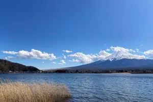 Tour image of Mt Fuji Half-Day Tour By Car