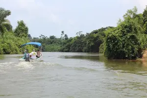 Tour image of Monkey River Tour (with transportation from Hopkins)