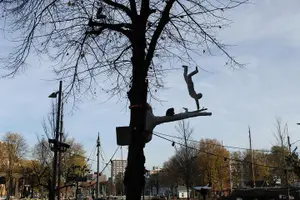 Tour image of Rotterdam in half a day: All-inclusive, Authentic private Tour of Rotterdam
