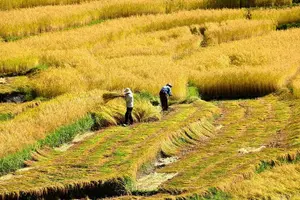 Tour image of 6 Nights Glimpse of Bhutan Tour