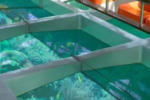 Tour image of Glass-Bottom Boat 2-hours Tour and Coral-Reef Viewing from Aqaba
