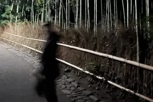 Tour image of Kyoto Ghost Tour: Dark Tales, Urban Legends, Bamboo Forest Night