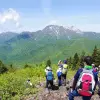 Image of Climbing