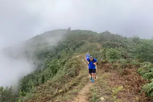 Tour image of Sapa The Hidden Trail Trek 1 Day - Mountain & Rice Valley