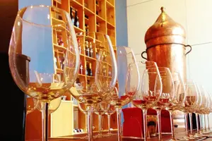 Tour image of Premium Tasting | Quinta de Santa Cristina Vinho Verde