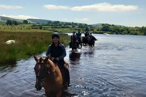 Tour image of Wicklow Mountains Horse Trekking