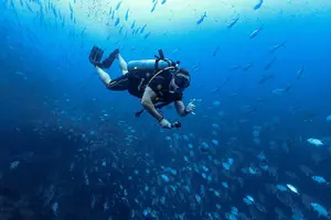 Tour image of Diving Tour for Certified Divers: Sail Rock or Koh Tao
