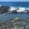 Image of Wildlife Watching